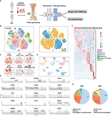 Single-Cell RNA Sequencing of Peripheral Blood Reveals Immune Cell Signatures in Alzheimer’s Disease